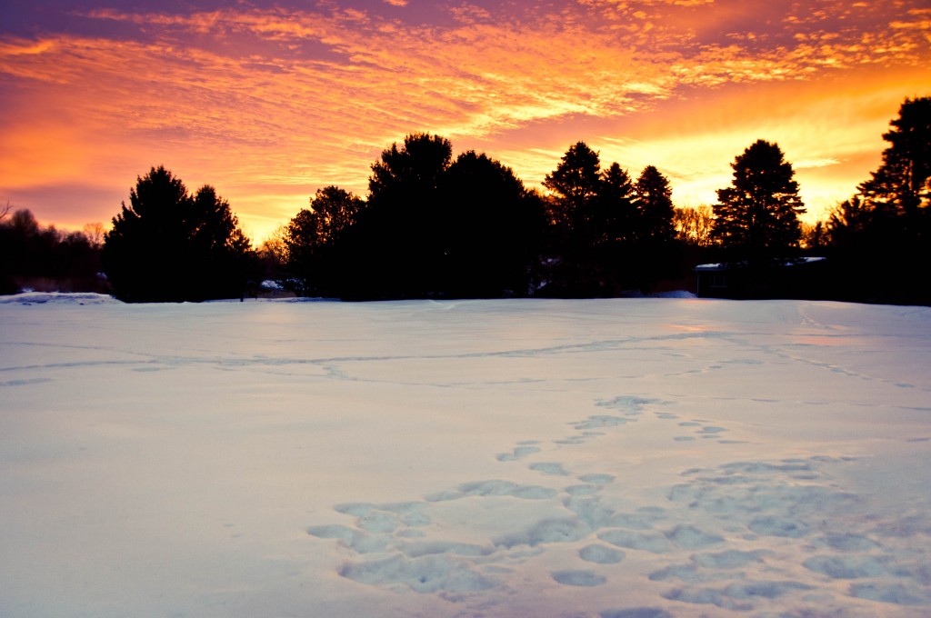 Winter Sunrise